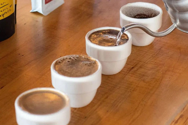 Cupping – Barista und Espresso