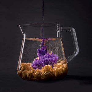 Transparente Glaskanne mit modernem Design für Baristas und präzises Kaffeebereiten, Neuigkeiten, alles über Kaffee.