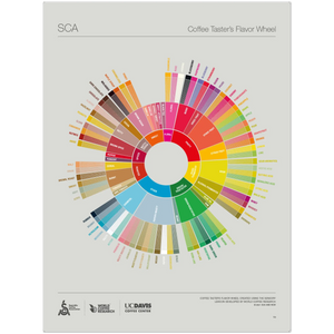 Das Geschmacksrad für Kaffeeverkoster Poster - SCA ESPRESSO GEAR