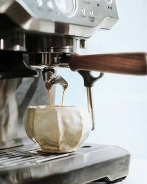 Portafilter für Sage Barista Serien (54 mm) – Barista und Espresso